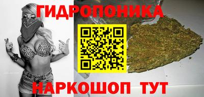 трава Кингисепп
