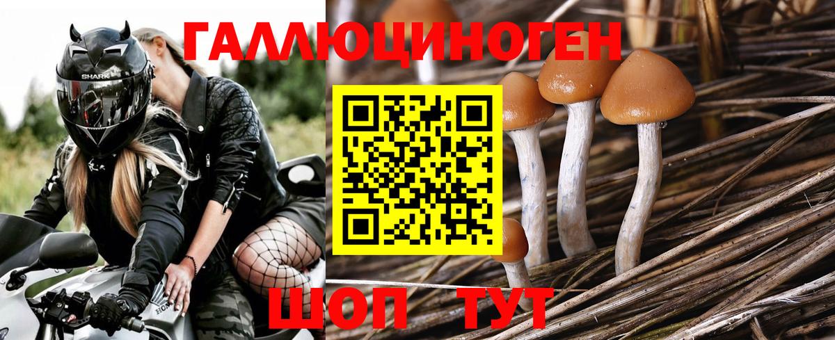 хочу   Галлюциногенные грибы Psilocybe  Вход с VPN  Псилоцибиновые грибы Magic Shrooms  Краснодар 
