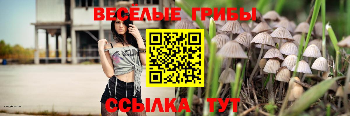 Псилоцибиновые грибы мицелий Краснодар